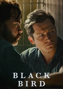 Poster for Black Bird